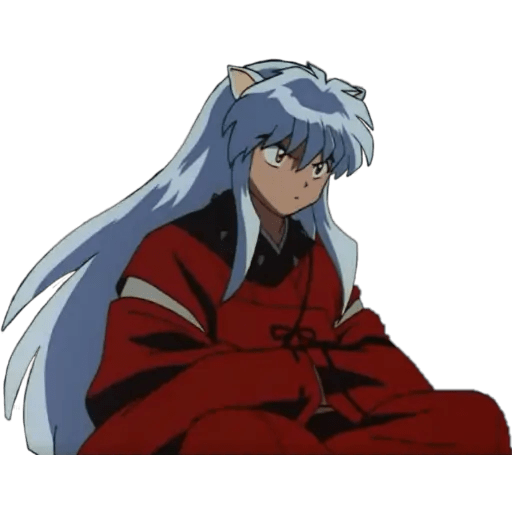 Inuyasha 11