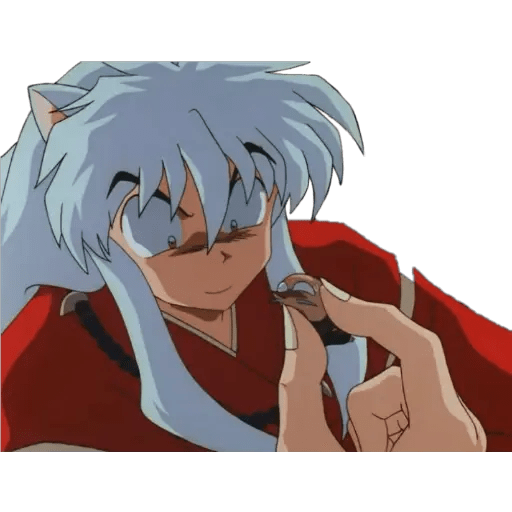 Inuyasha 13