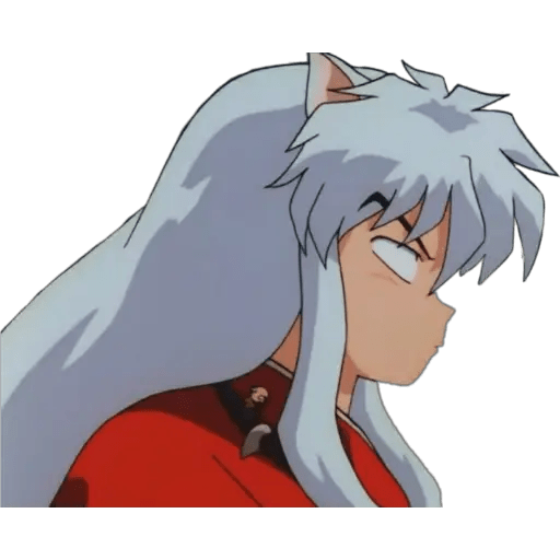Inuyasha 14