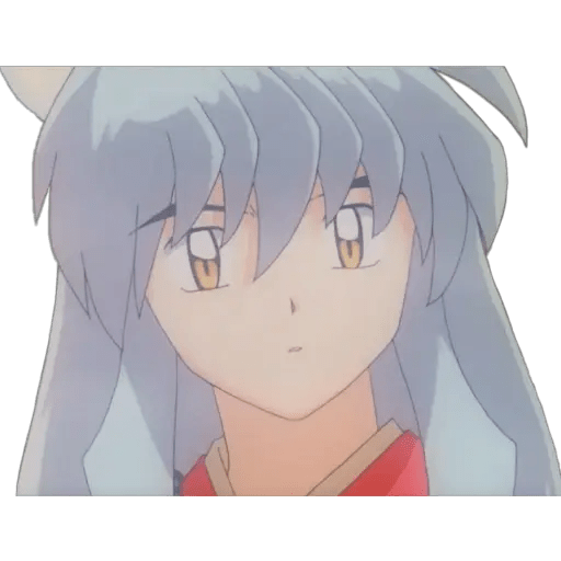 Inuyasha 17