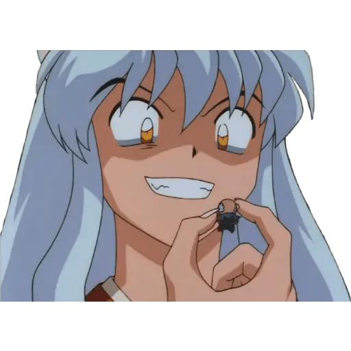 Inuyasha 21