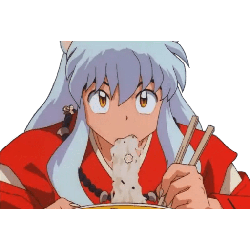 Inuyasha 23