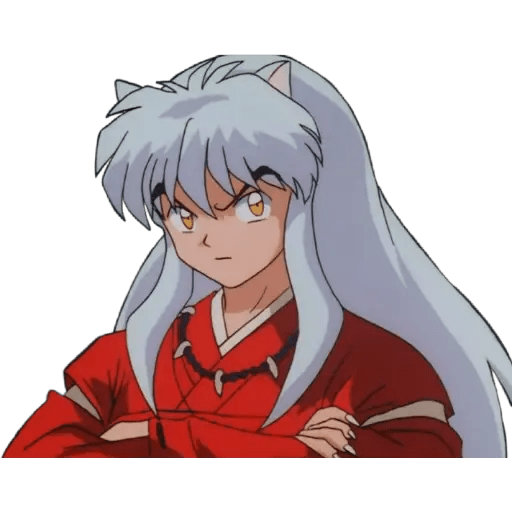 Inuyasha 24