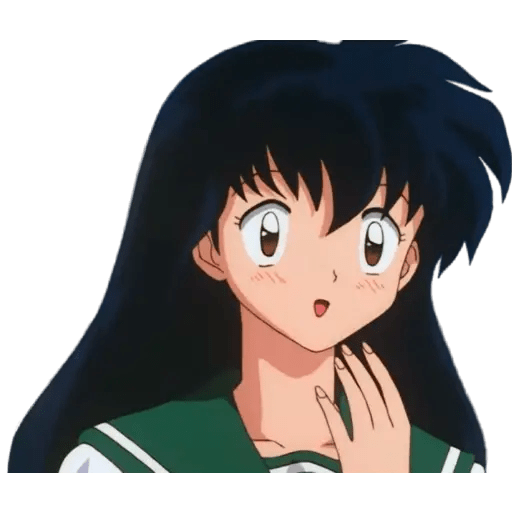 Inuyasha 29