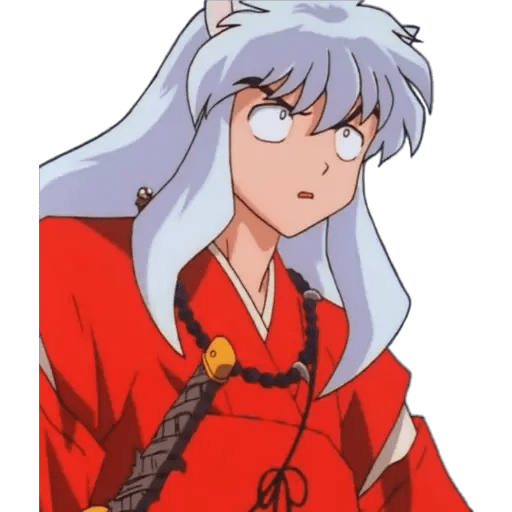 Inuyasha 30