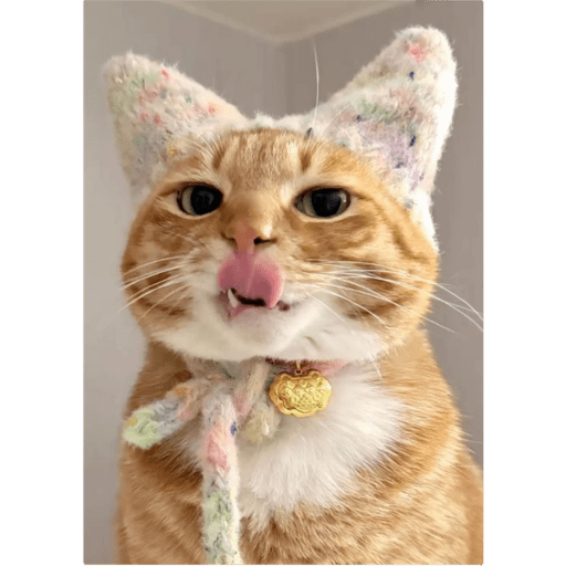 Gatinhosss 7