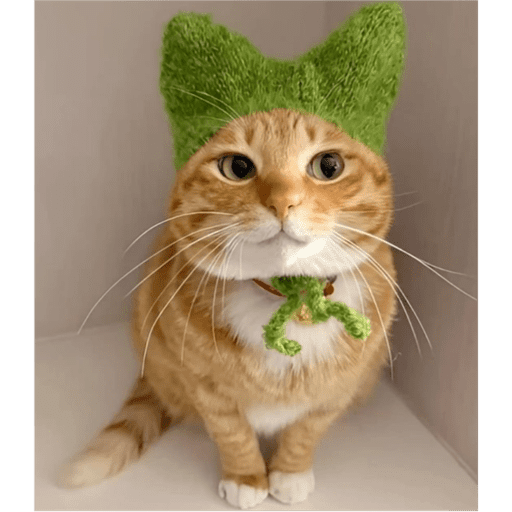 Gatinhosss 10