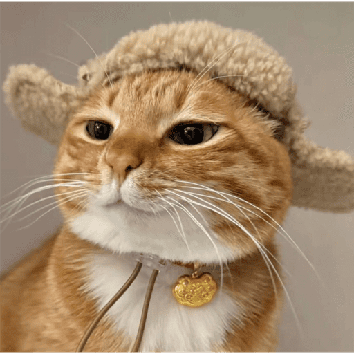 Gatinhosss 8