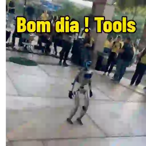 Minhas figurinhas 6