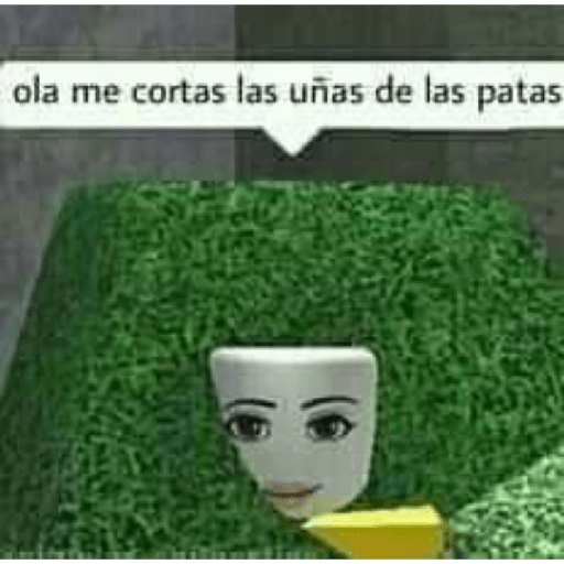 Anashe 7