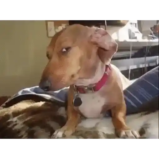 Meme reactions 17