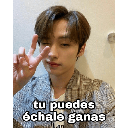 Shitpost kpop en español. 5 29