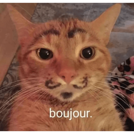 Jejejeje
