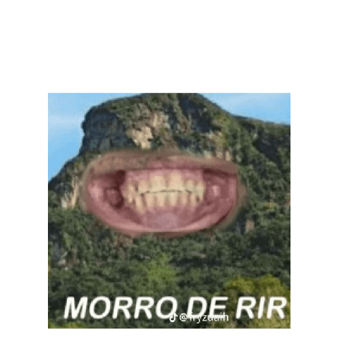 Memes do tiktok 20