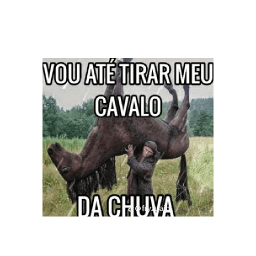Memes do tiktok 18