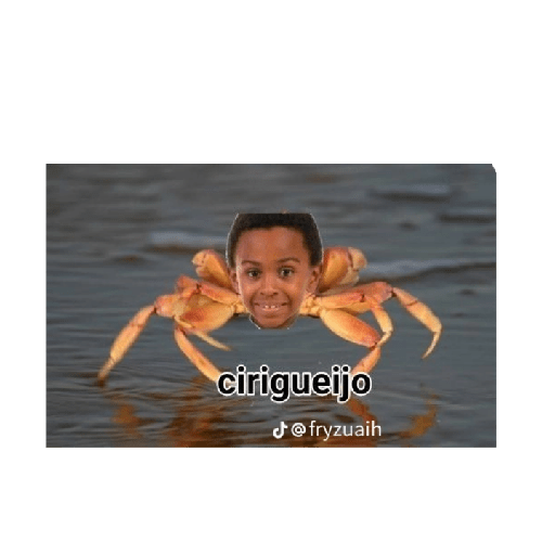 Memes do tiktok 17