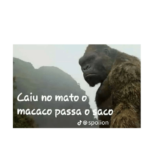 Memes do tiktok 28