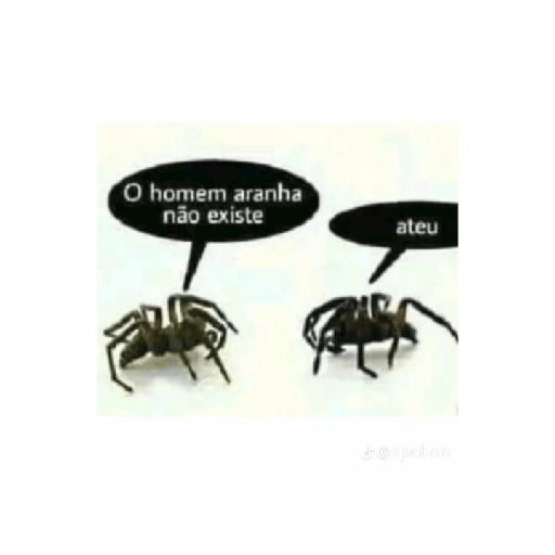 Memes do tiktok 27