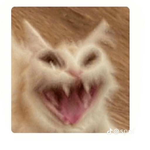 Memes do tiktok 22