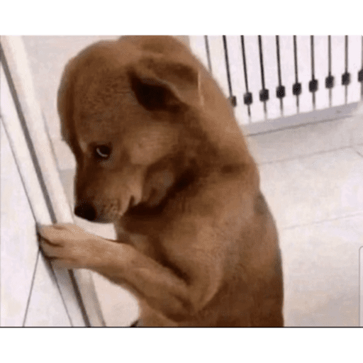 Tiktok stickers 19