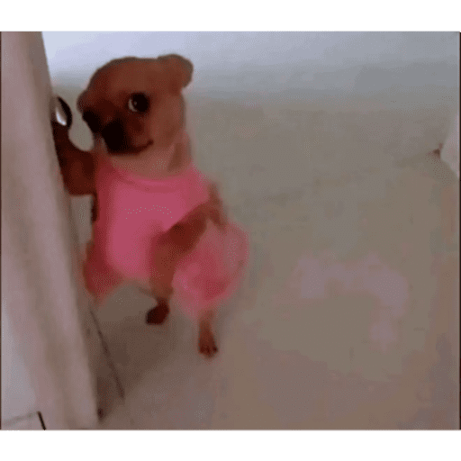 Tiktok stickers 6