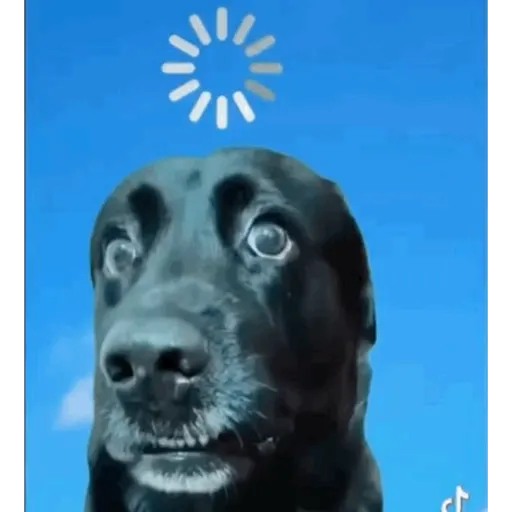 Kkkkkkkkk 20