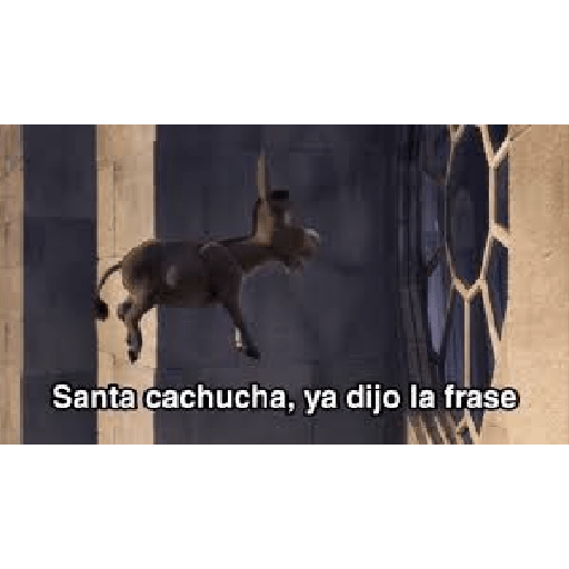 Niño cruzado de brazos 15