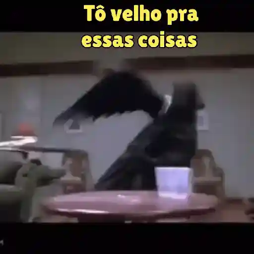 Todo mundo em pânico 10