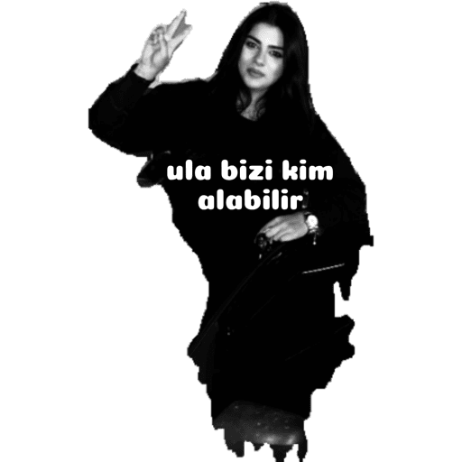 Çıkartmalarım 14