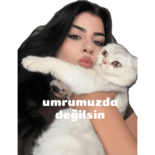 Çıkartmalarım 24