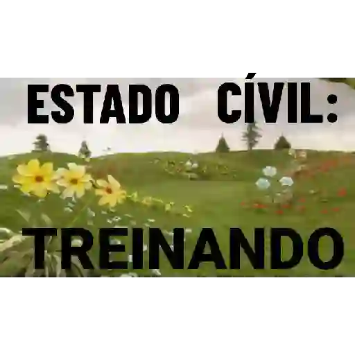 EXERCÍCIOS 19
