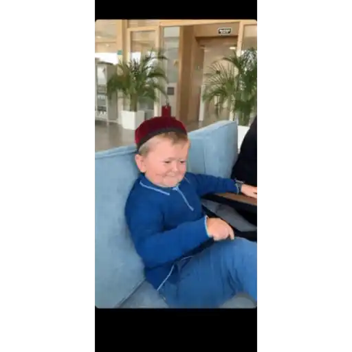 Hasbikg 13