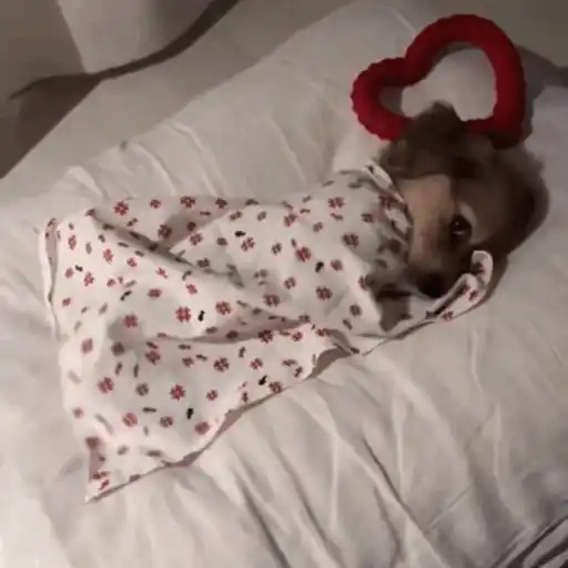 Inês 19