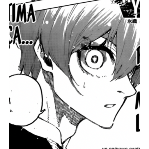 Hiori 12