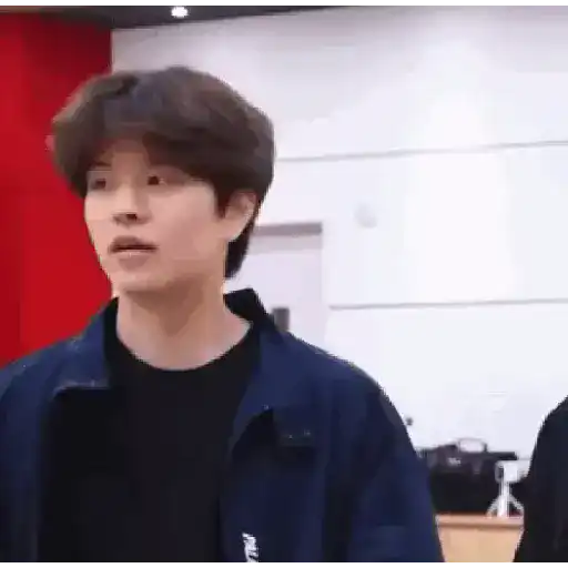 Skz animado 2.0 24