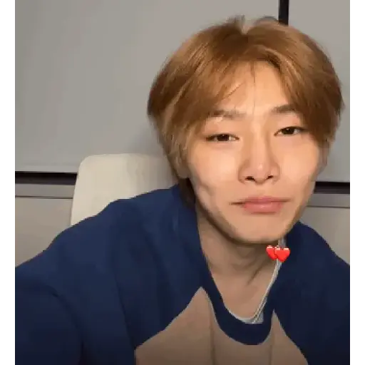 Skz animado 2.0 23