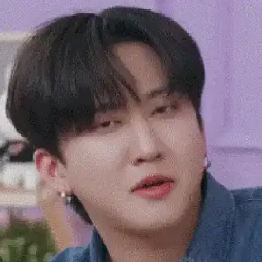 Skz animado 2.0 21
