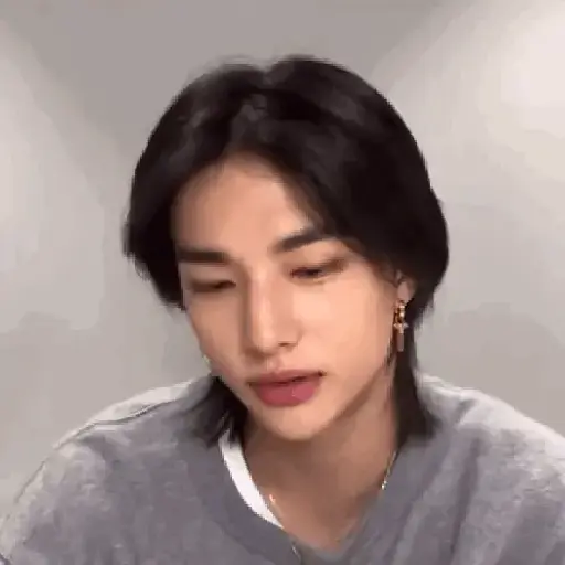 Skz animado 2.0 19