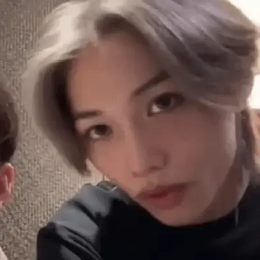 Skz animado 2.0 18