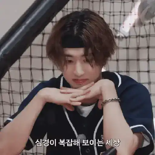 Skz animado 2.0 17