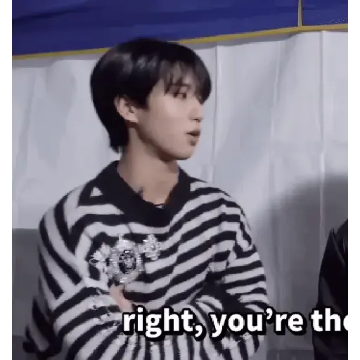 Skz animado 2.0 16