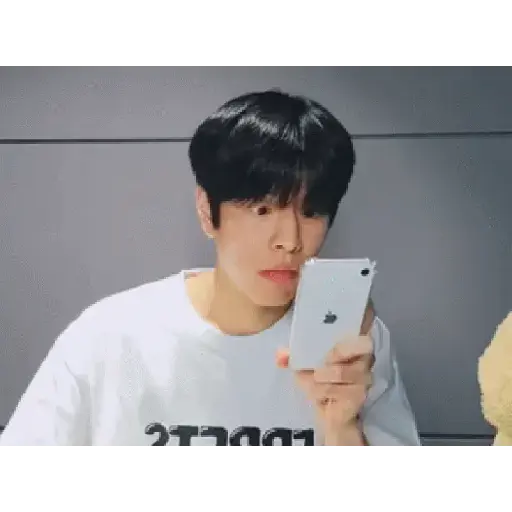 Skz animado 2.0 15