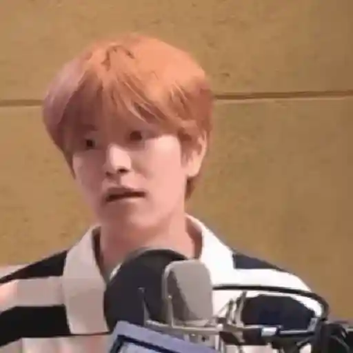 Skz animado 2.0 14
