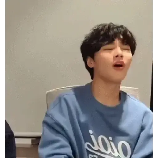 Skz animado 2.0 13
