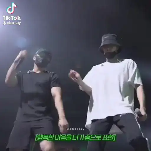 Skz animado 2.0 2