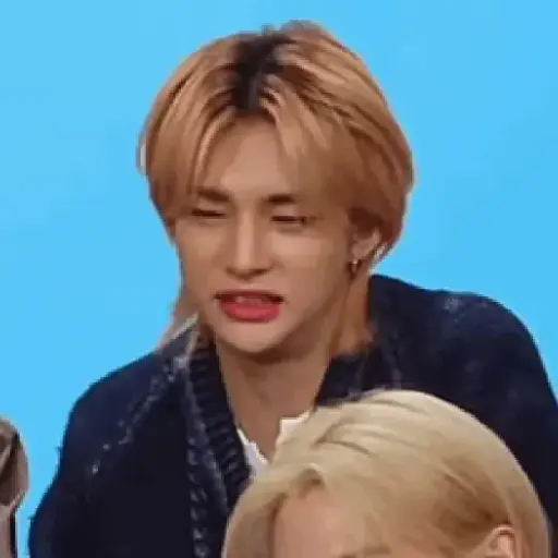 Skz animado 2.0 4