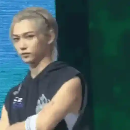 Skz animado 2.0 5
