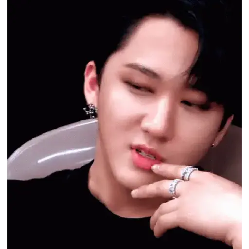 Skz animado 2.0 9
