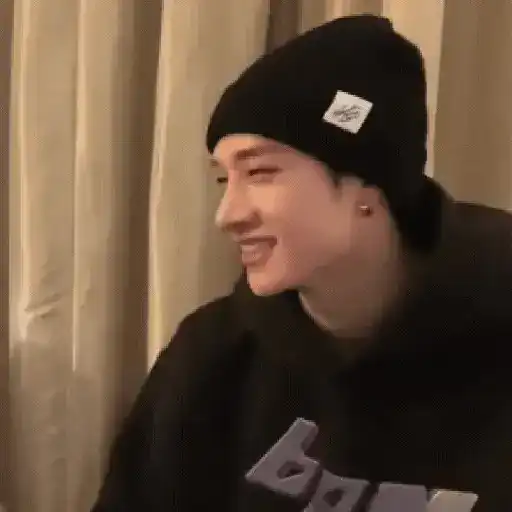 Skz animado 2.0 11