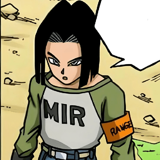 Número 17 13
